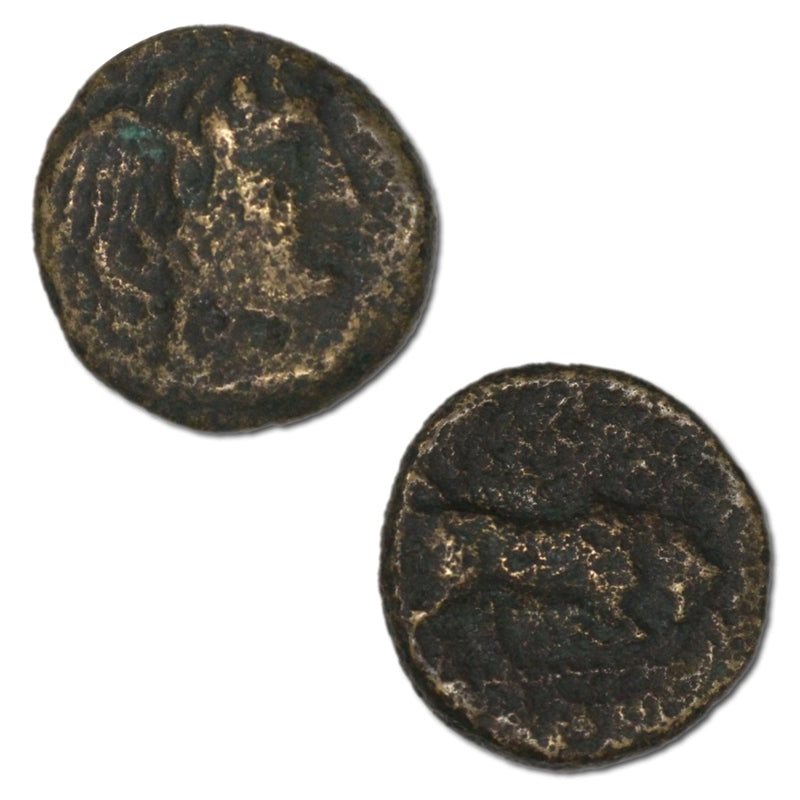 Seleukid Kingdom Pella 312-281 BC