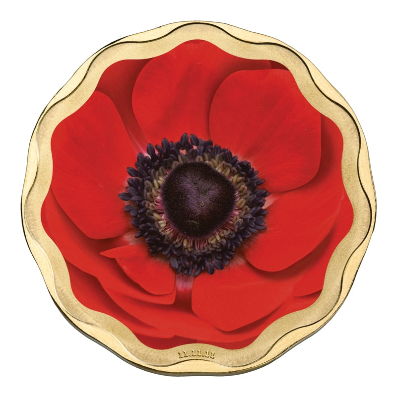 PNC 2011 Remembrance Day - Wynyard Coin Centre – M.R.Roberts