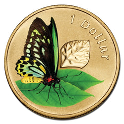 $1 2011 Air Series - Cairns Birdwing Butterfly Al-Bronze UNC
