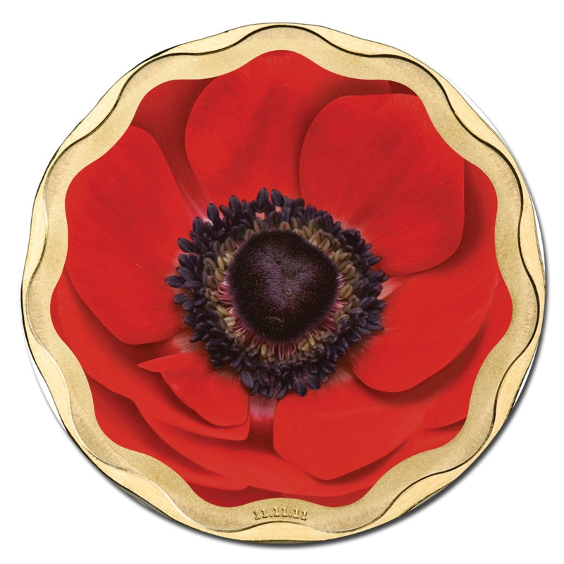 $5 2011 Remembrance Day Al-Bronze UNC – M.R.Roberts - Wynyard Coin