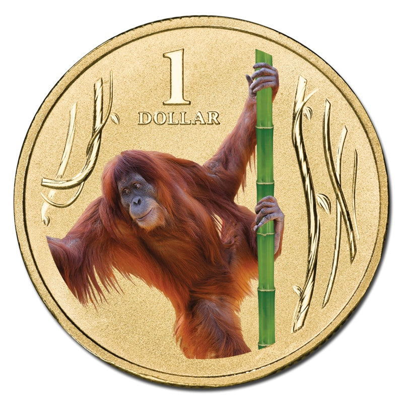 $1 2012 Zoo Animals - Orang-Utan Al-Bronze UNC