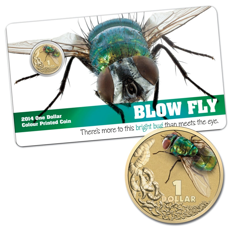 $1 2014 Bright Bugs - Blow Fly Al-Bronze UNC