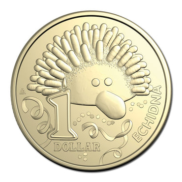 $1 2025 Women's Weekly - Echidna UNC