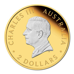 2024 Australian Kangaroo 2oz Silver Reverse Gilded Coin