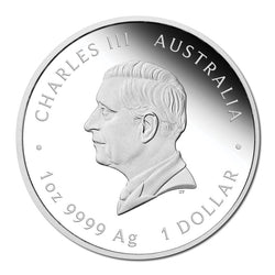 2024 Australian Quokka 1oz Silver Coloured Proof