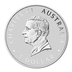 2024 Wombat 1oz Silver Coloured in Card