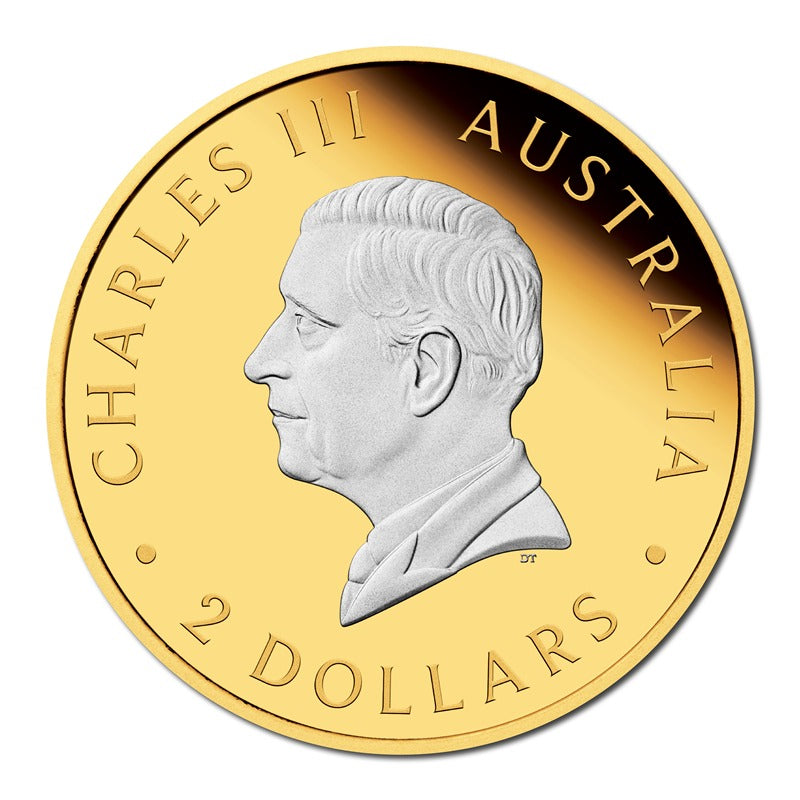 2025 Australian Kangaroo 2oz Silver Reverse Gilded Coin
