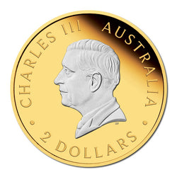 2025 Australian Kangaroo 2oz Silver Reverse Gilded Coin