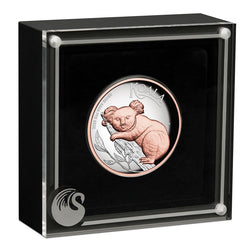 2025 Koala 5oz Silver Proof High Relief Gilded
