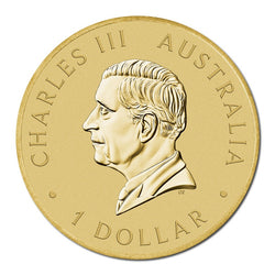 PNC 2025 Merry Christmas - Gingerbread Man