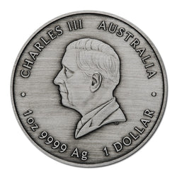 2025 Proclamation Pillar Dollar Antiqued 1oz Silver