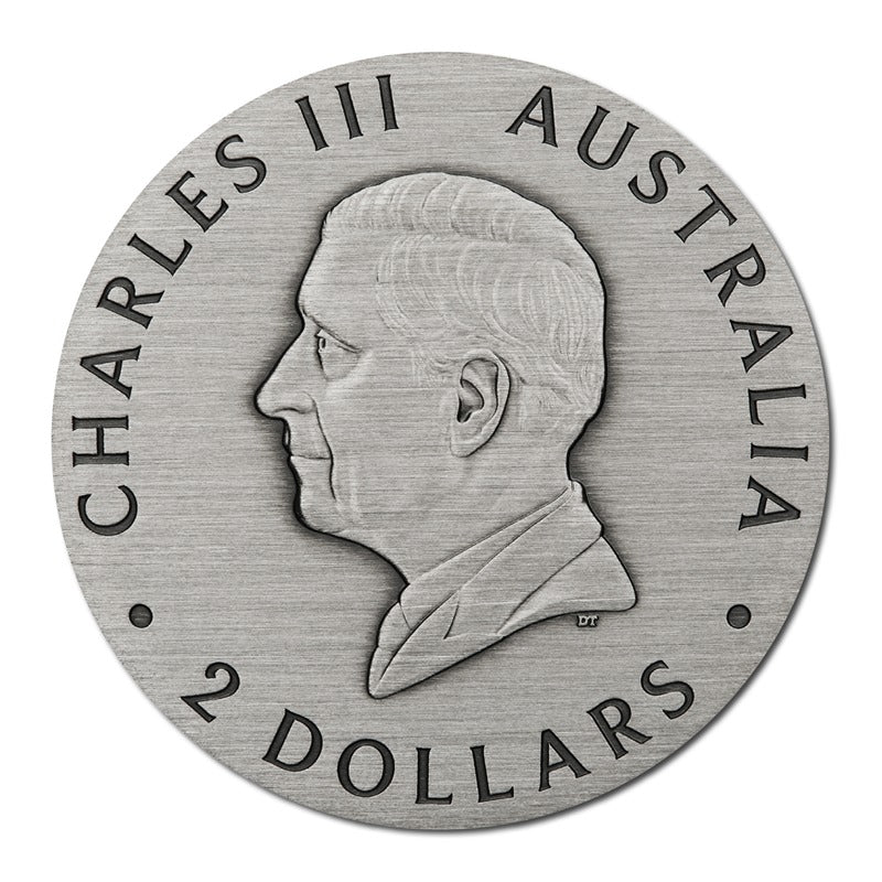 2025 Honey Bee 2oz Silver Antiqued Coloured Coin