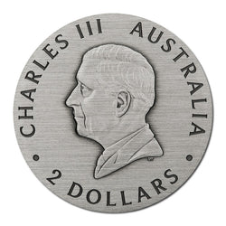 2025 Honey Bee 2oz Silver Antiqued Coloured Coin