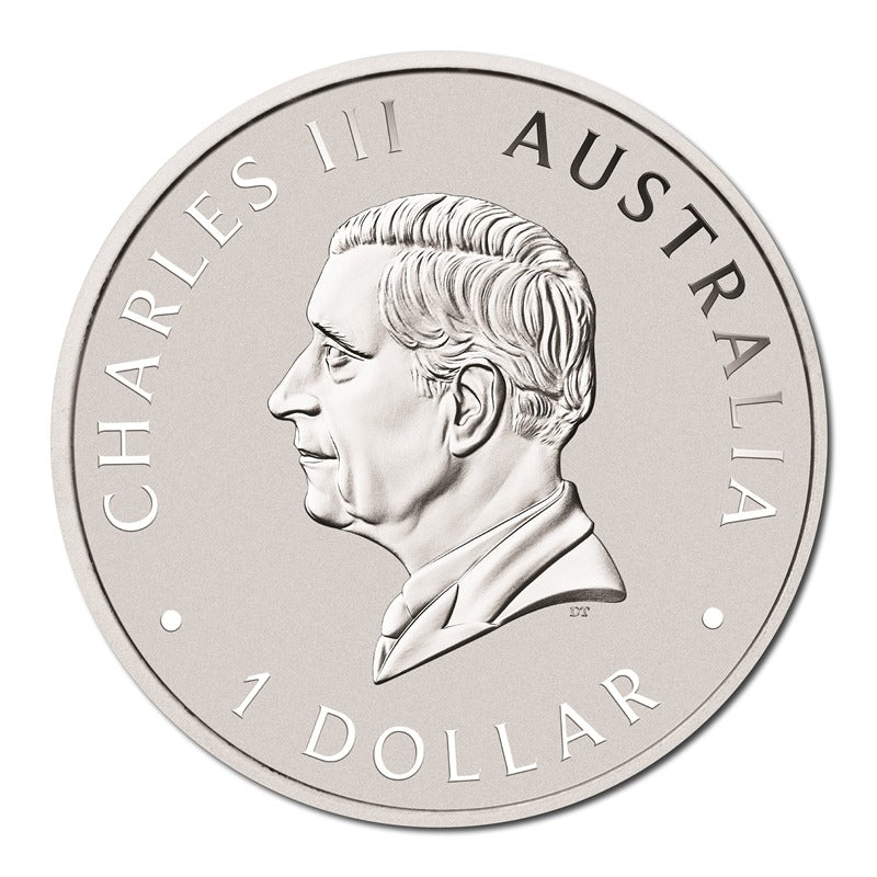 2026 Koala Coloured 1oz Silver - Brisbane ANDA Expo