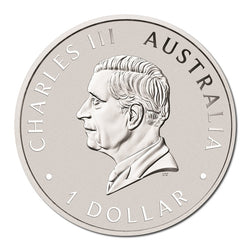 2026 Koala Coloured 1oz Silver - Brisbane ANDA Expo