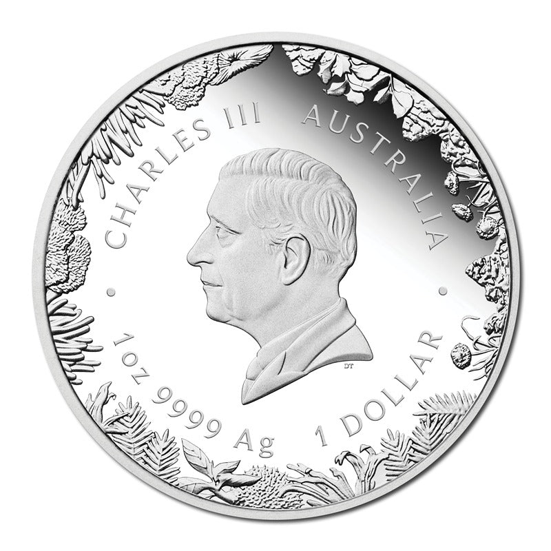 2026 Wonders of Australia - The Outback 1oz Silver Proof