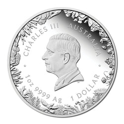 2026 Wonders of Australia - The Outback 1oz Silver Proof