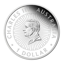 2026 Great Southern Land (Nocturnal) Matrix Opal 1oz Silver Proof
