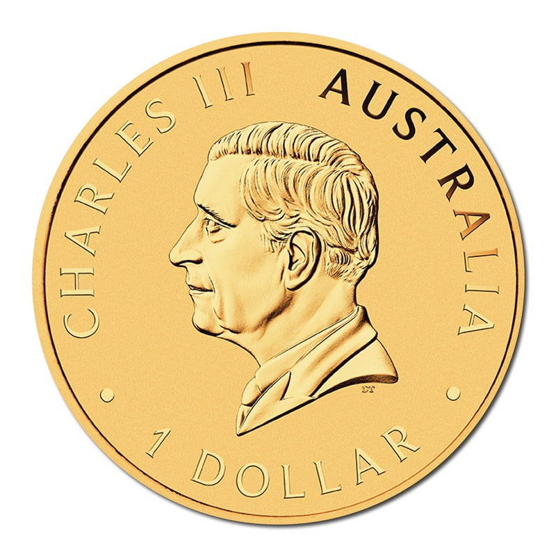 2026 40th Anniversary of the Australian Gold Program 1oz Silver Gold Plated - Hobart ANDA Show