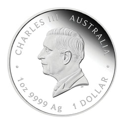 2026 HM Queen Elizabeth II 100th Anniversary 1oz Silver Proof