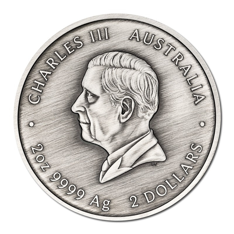 2026 Turtle Yaunati 2oz Silver Antiqued Coloured Coin - LIMIT 2