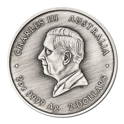 2026 Turtle Yaunati 2oz Silver Antiqued Coloured Coin - LIMIT 2