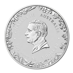 2026 Wonders of Australia - The Outback Coloured 1oz Silver