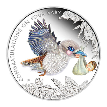 2013 Newborn 1/2oz Silver Proof