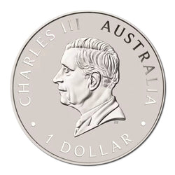 2025 Australian Brumby 1oz Silver Coloured Coin