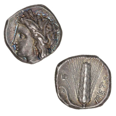 Ancient Italy, Lucania, Metapontum 330-290BC Silver Stater