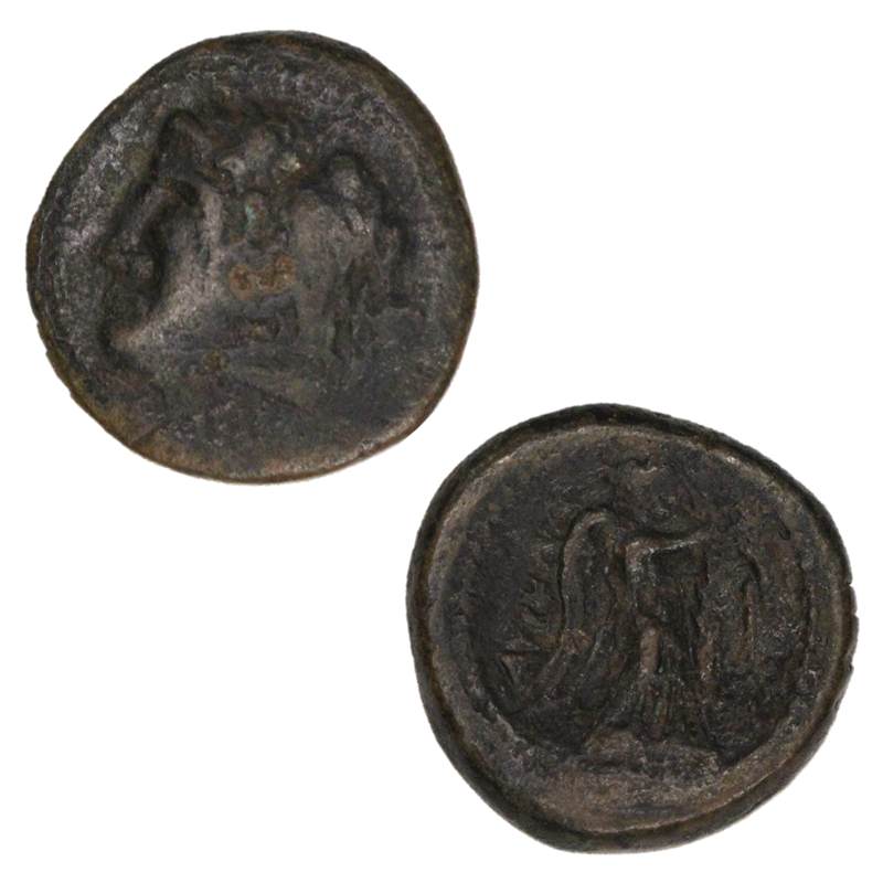 Ancient Greece, Italy, Apulia, Asculum c.240BC AE18