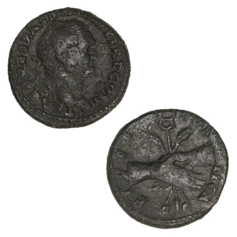 Ancient Rome, Vespasian 69-79AD Bronze Assarion