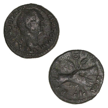 Ancient Rome, Vespasian 69-79AD Bronze Assarion