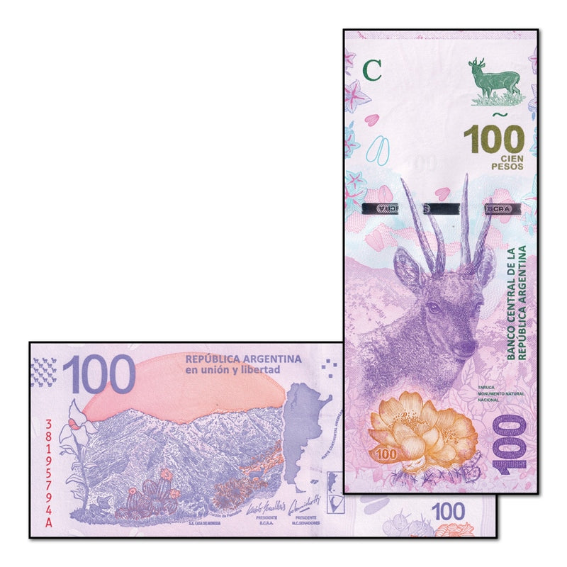 Argentina 2018 100 Pesos P.363A CFU