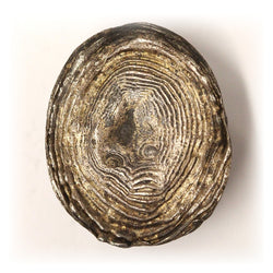 China, Qing Dynasty 18th-20th Century Silver 1 Tael Sycee - 41.36g