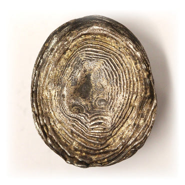 China, Qing Dynasty 18th-20th Century Silver 1 Tael Sycee - 41.36g