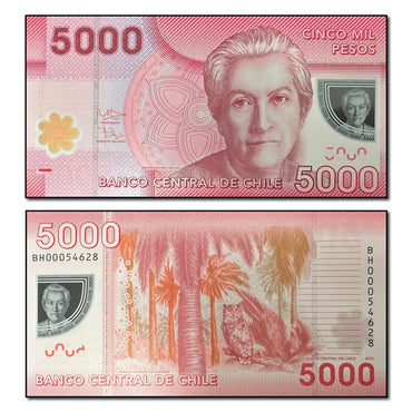Chile 2009-2021 5000 Pesos P.163 CFU