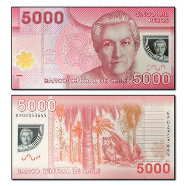 Chile 2009-2021 5000 Pesos P.163 CFU