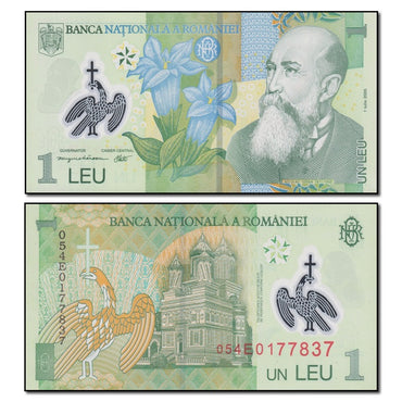 Romania 2005-2014 1 Leu P.117a