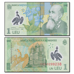 Romania 2005-2014 1 Leu P.117a