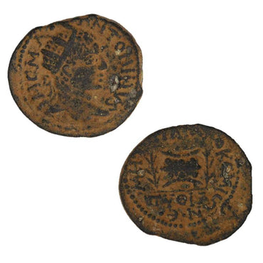 Roman Provincial, Syria, Emesa, Elagabalus 218-222AD AE25