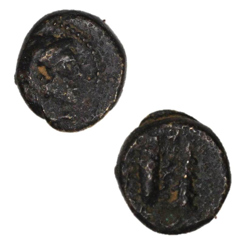 Macedonian Kingdom, Alexander III 'The Great' 336-323BC AE11