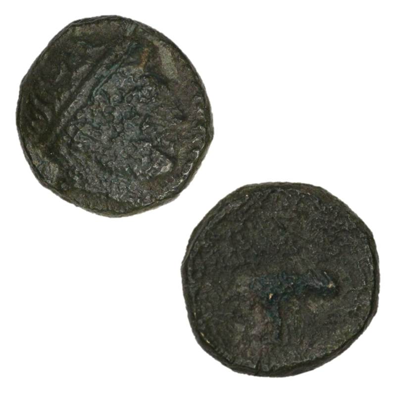Greece, Macedonian Kingdom, Phillip II 359-336BC AE15