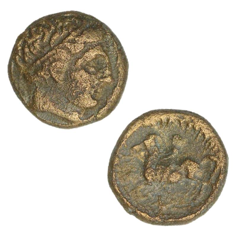 Greece, Macedonian Kingdom, Phillip II 359-336BC AE16