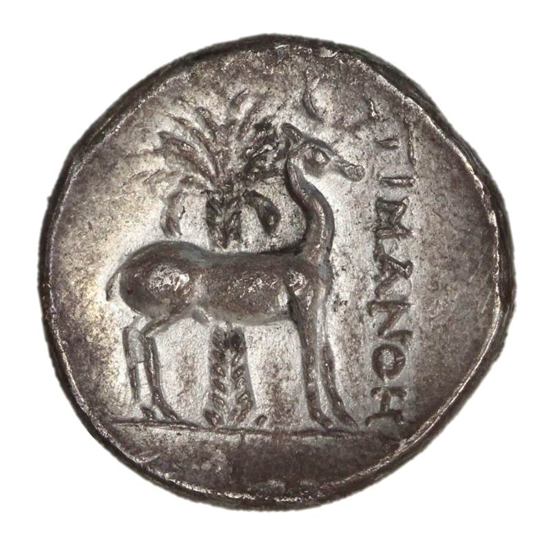 Greece, Ionia, Ephesos 202-150BC Silver Stater EF RARE!