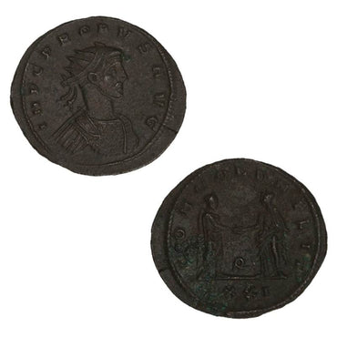 Ancient Rome, Probus 276-282AD Bronze Antoninianus