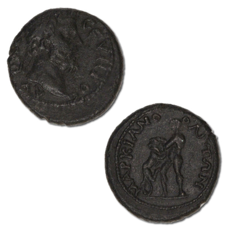 Moesia Inferior, Septimius Severus 193-211AD AE20