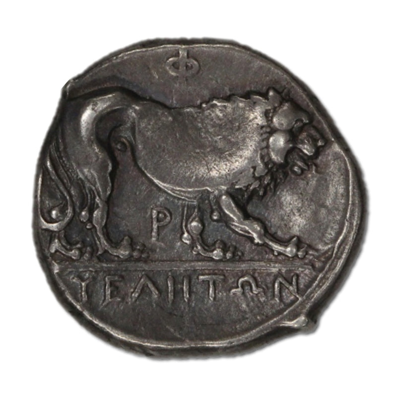 Greece, Lucania, Velia 400-350BC Silver Didrachm