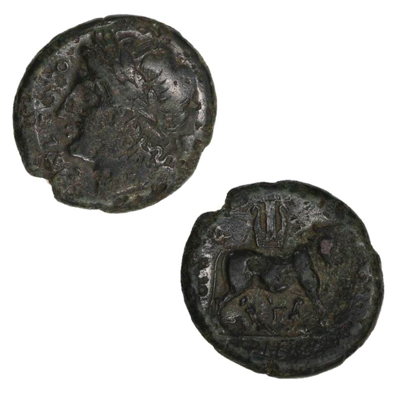 Italy, Northern Campania, Cales 265-240BC AE21