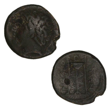 Ancient Italy, Campania, Neapolis 325-241BC AE15